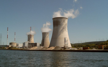 Belgia: Elektrownia atomowa uruchomiona po awarii. Nowe problemy