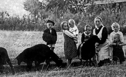 Izraelczycy będą się mogli m.in. dowiedzieć o rodzinie Ulmów z Markowej (koło Łańcuta), którą zamord