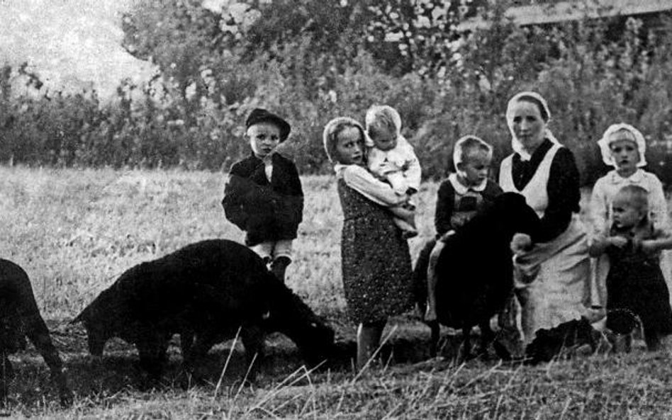 Izraelczycy będą się mogli m.in. dowiedzieć o rodzinie Ulmów z Markowej (koło Łańcuta), którą zamord