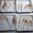 Arizona: Stanowe "nie" dla obowiązku szczepień na COVID-19 dla części pracowników