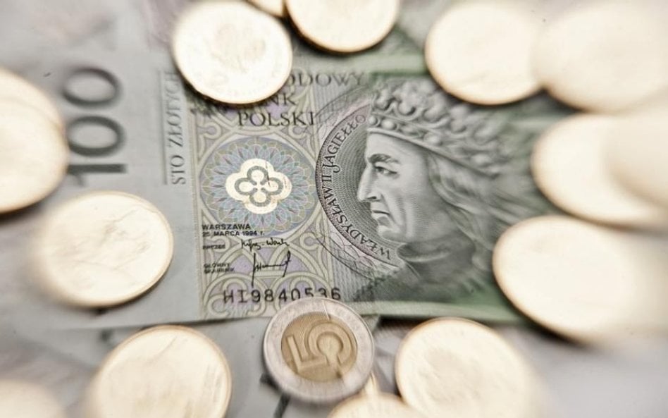 Ekonomiści w obronie finansów publicznych