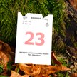 Wydarzy się dziś. Kalendarium wydarzeń na rynkach w dniu 23.09.2026