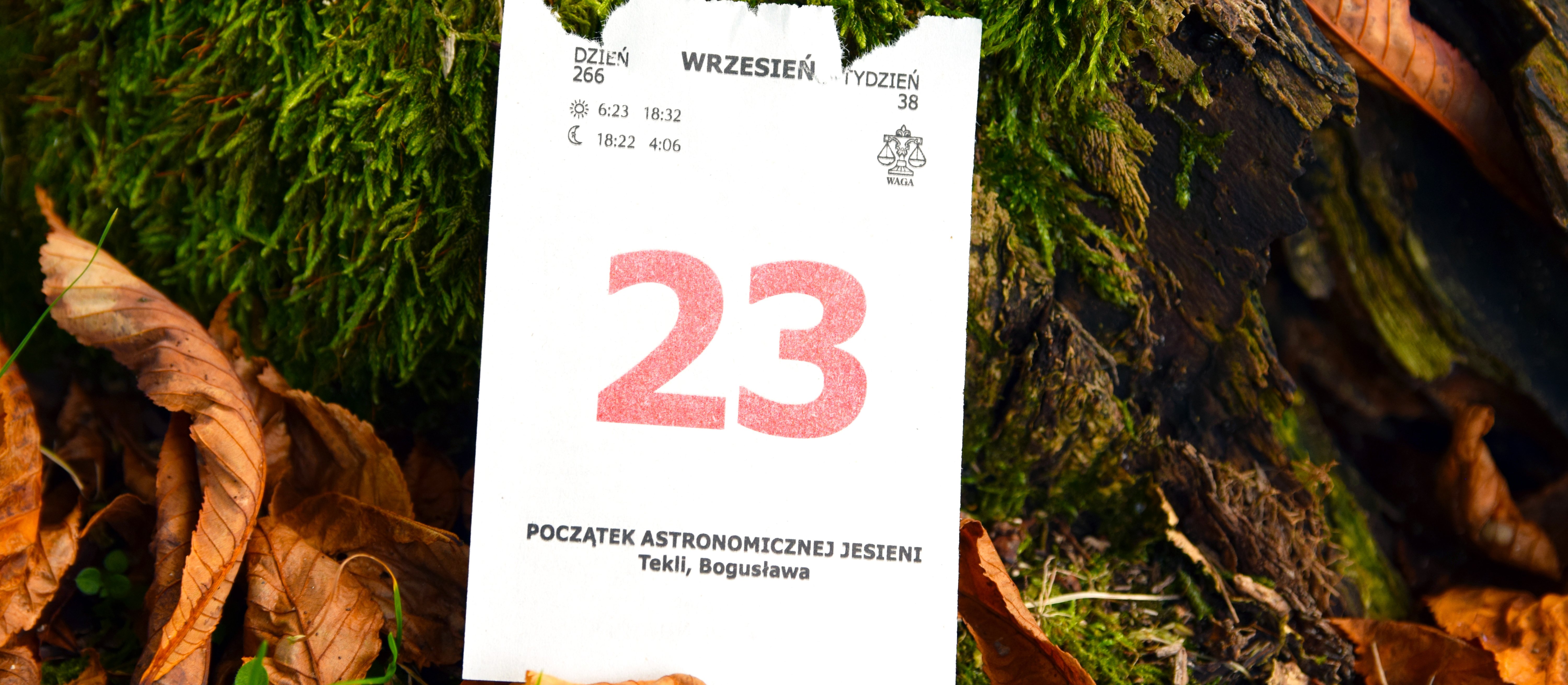 Wydarzy się dziś. Kalendarium wydarzeń na rynkach w dniu 23.09.2026