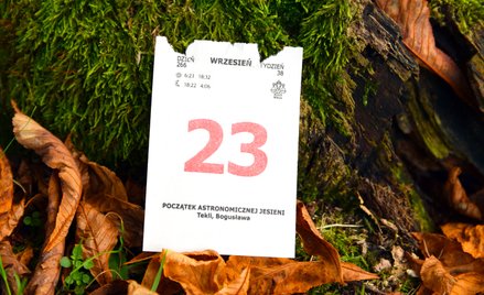 Wydarzy się dziś. Kalendarium wydarzeń na rynkach w dniu 23.09.2026