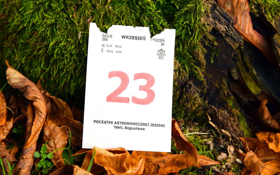 Wydarzy się dziś. Kalendarium wydarzeń na rynkach w dniu 23.09.2026