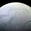Na Enceladusie, księżycu Saturna, może istnieć życie - dowodzą astronomowie