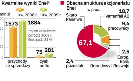 Enea jest w trakcie prywatyzacji. Ku zaskoczeniu rynku oferty na kupno jej akcji nie złożył szwedzki