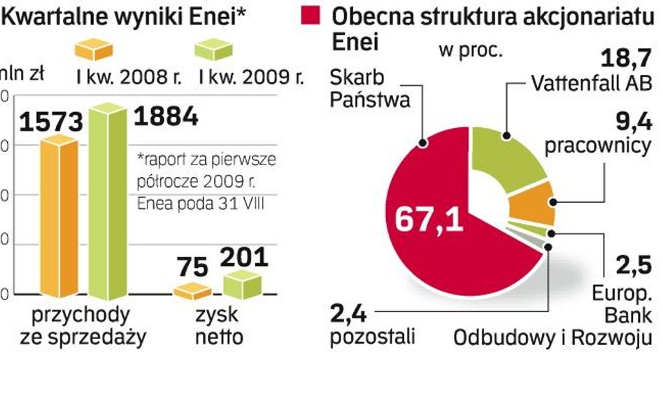 Enea jest w trakcie prywatyzacji. Ku zaskoczeniu rynku oferty na kupno jej akcji nie złożył szwedzki