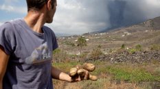 W efekcie erupcji wulkanu zniszczone zostały uprawy warzyw i owoców