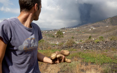 W efekcie erupcji wulkanu zniszczone zostały uprawy warzyw i owoców