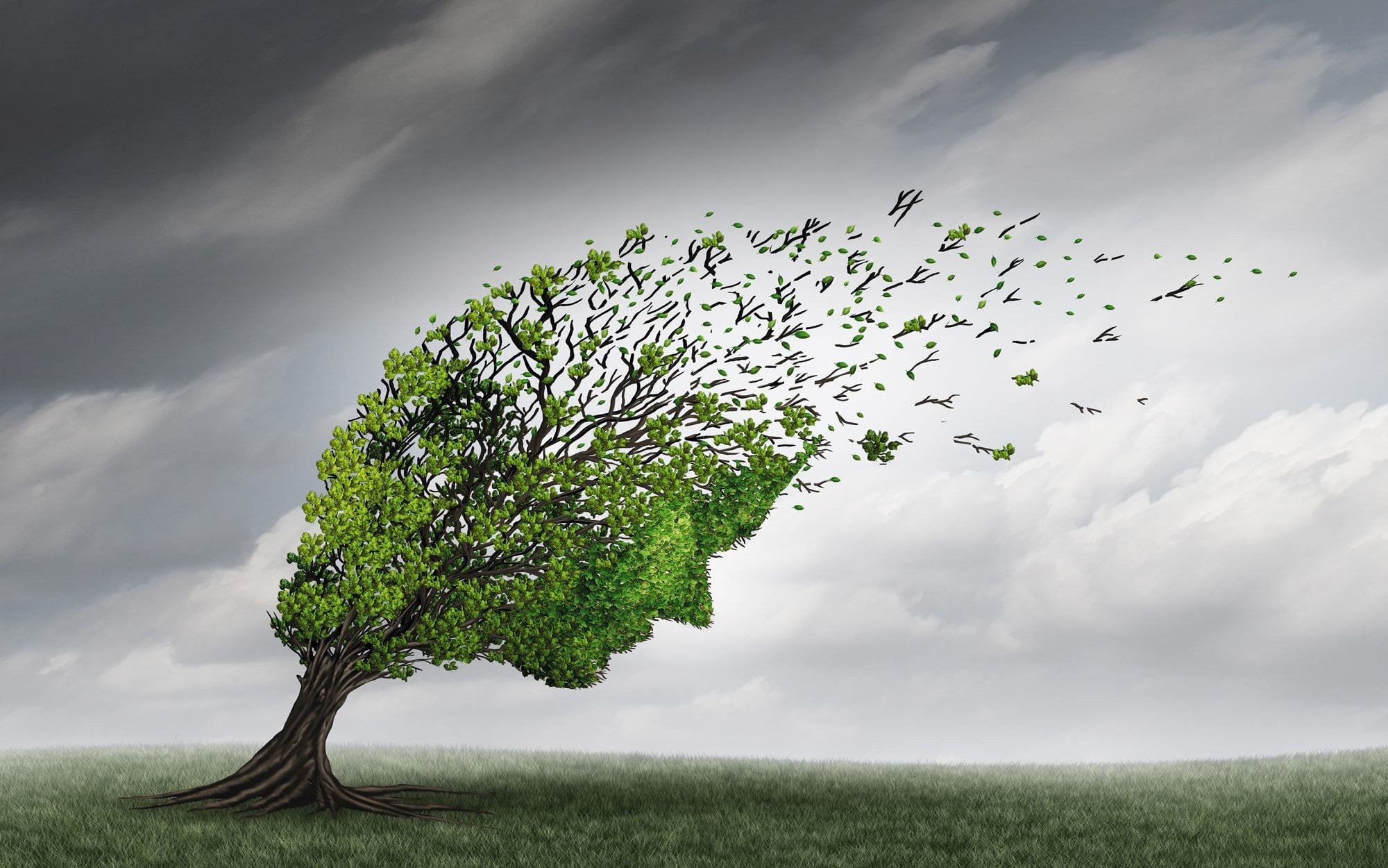 The word "trauma" is overused today. Self-proclaimed therapists prey on it