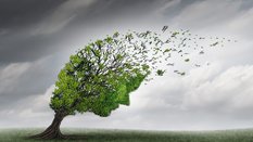 Słowo „trauma” jest dziś nadużywane. Samozwańczy terapeuci na tym żerują