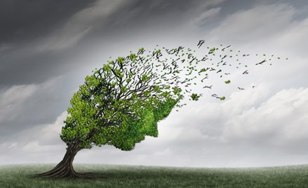 Słowo „trauma” jest dziś nadużywane. Samozwańczy terapeuci na tym żerują