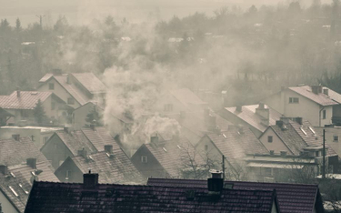 Polacy za smog winią „kopciuchy”,złej jakości paliwo i przemysł
