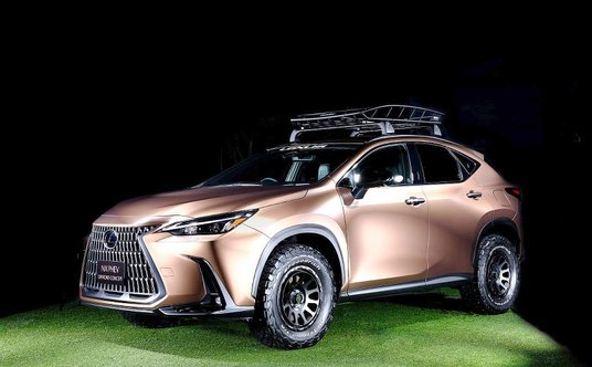 Lexus NX Concept