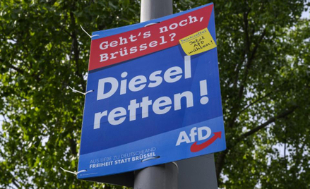 AfD ucierpi po aferze w Austrii