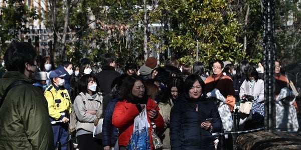 Magnitude 5.9 Earthquake Rattles Eastern Japan, Injuring 37