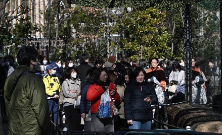 Japonia: Trzęsienie ziemi o magnitudzie 5,9; silne wstrząsy odczuwane w Tokio