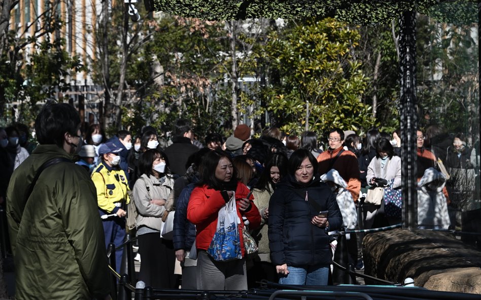 Japonia: Trzęsienie ziemi o magnitudzie 5,9; silne wstrząsy odczuwane w Tokio