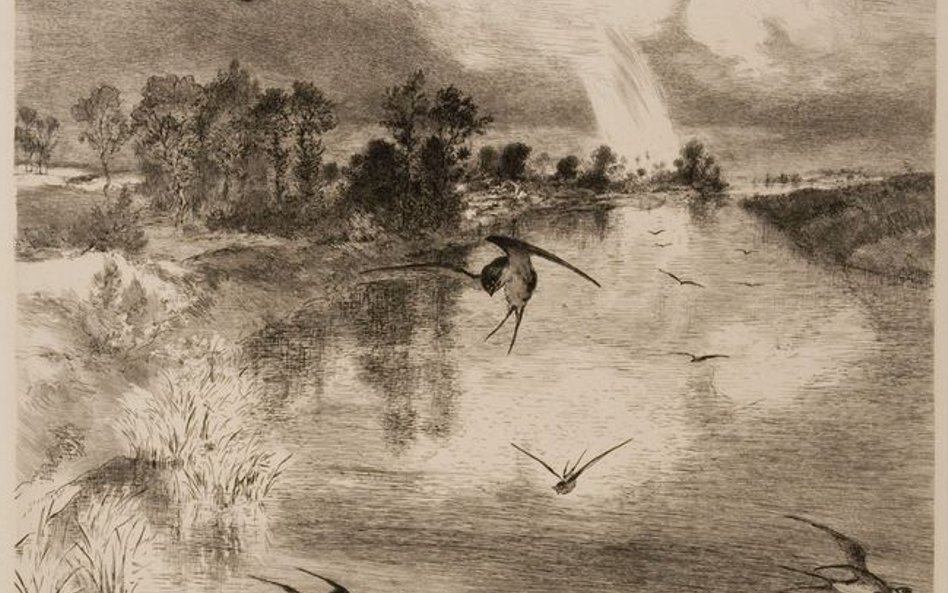 2. Feélix Bracquemond, Les Hirondelles / Jaskółki, 1882/1887 z teki: Six eaux-fortes par Bracquemond