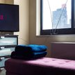 Zielony Netflix: serwis prezentuje plan na zerową emisję