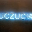Martin Creed Praca nr 326: UCZUCIA / Work no. 326: FEELINGS , 2004 biały neon