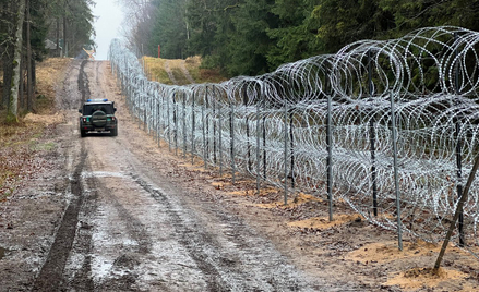 Tymczasowy płot na granicy z Białorusią