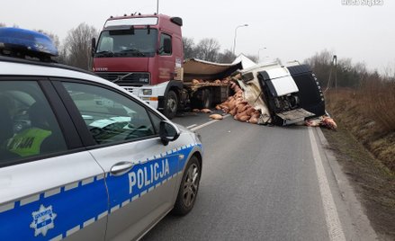 Mięso wieprzowe zablokowało drogę przy autostradzie A4