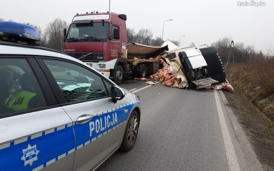 Mięso wieprzowe zablokowało drogę przy autostradzie A4