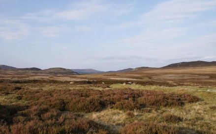 Invenresshire, Szkocja, źródło Strutt&Parker