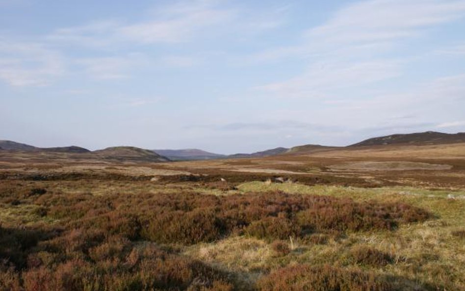 Invenresshire, Szkocja, źródło Strutt&Parker