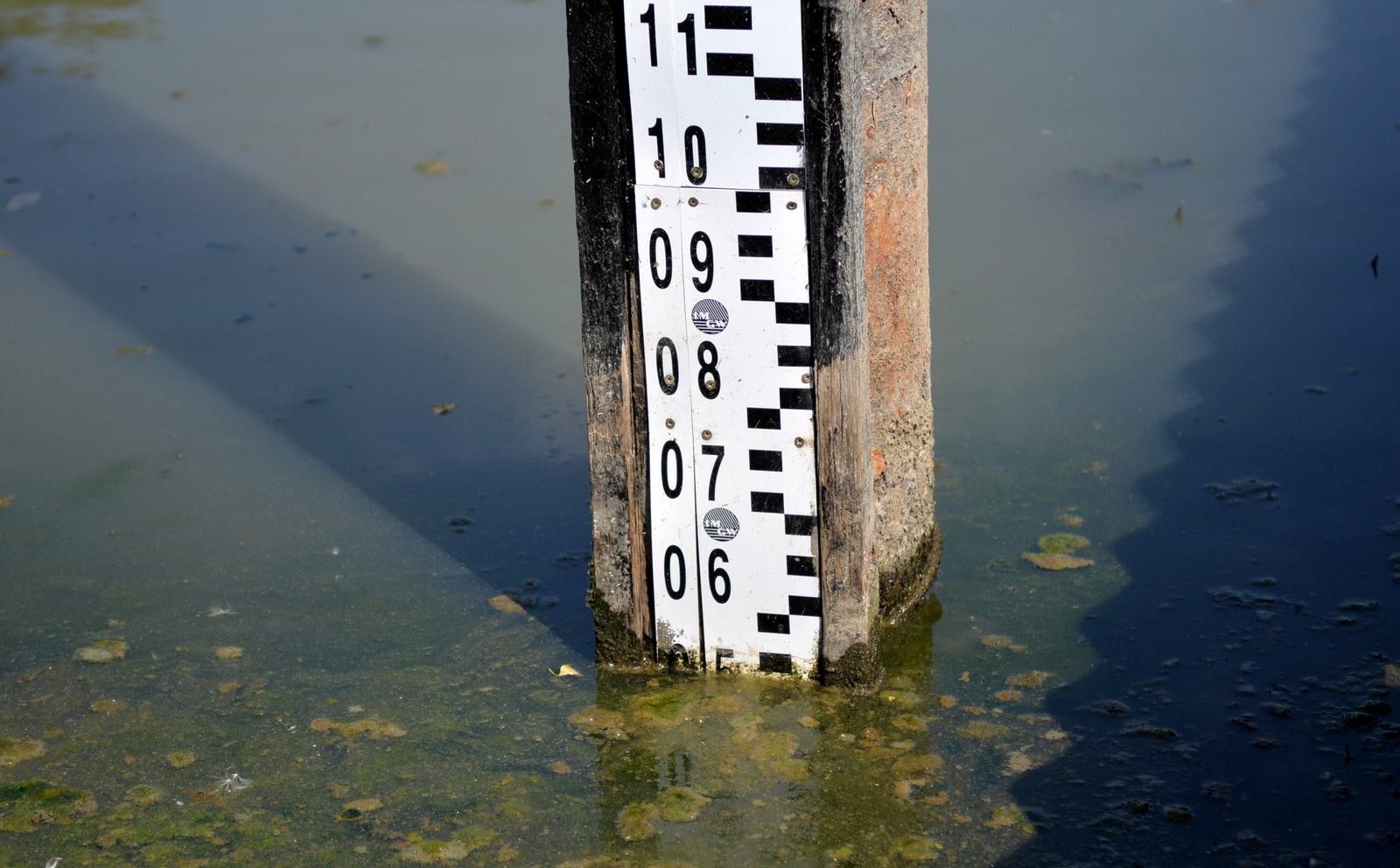 Kryzys wodny w Warszawie. Susza i upał paraliżują stołeczne rzeki i zbiorniki