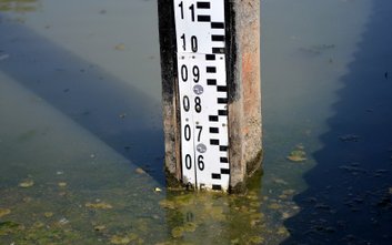 Poziom rzek na Mazowszu spadał w tym roku do rekordowo niskich wyników