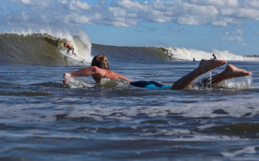 Rekin zabił nastoletniego surfera w Australii