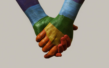 Miłość prawem każdego - analiza projektów ustaw o równości małżeńskiej i o związkach partnerskich