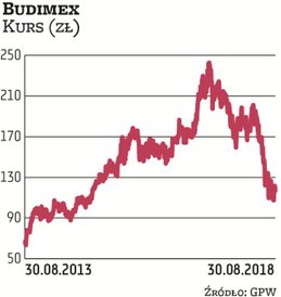Z powodu pogorszenia sytuacji w branży budowlanej i spadku marż notowania Budimeksu przez rok osunęł