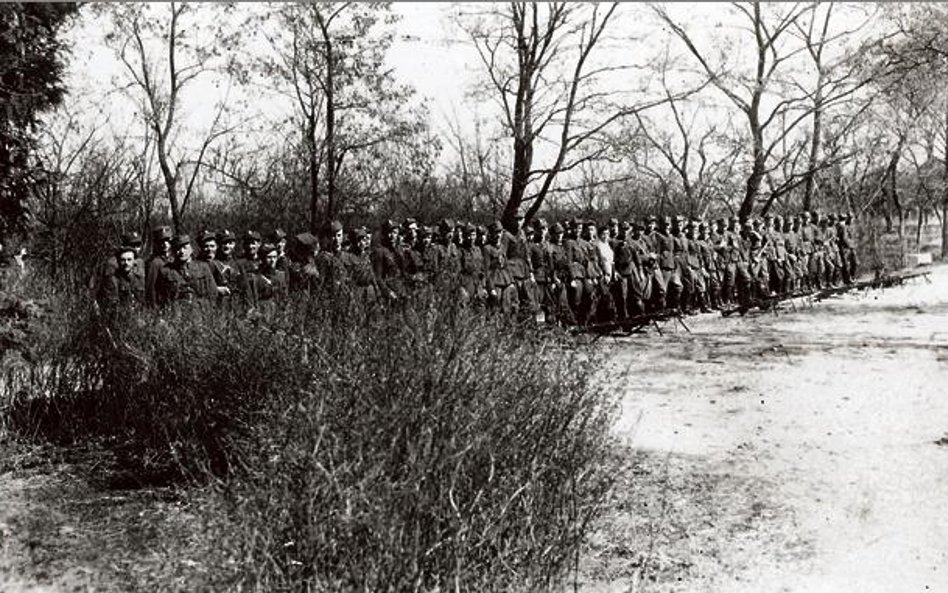 6. Brygada Wileńska AK. Podlasie. Kwiecień 1946 r.
