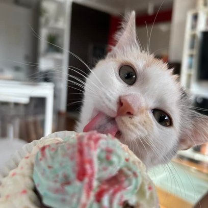 W zeszym roku laureatką konkursu była Lila z Górczewskiej