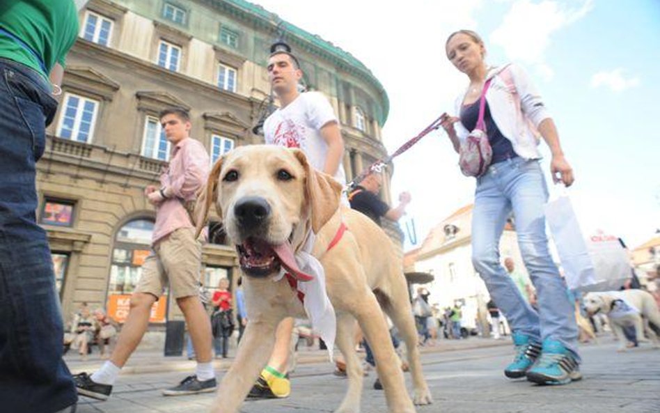 Uchwały gminne: Rada nie zabroni wchodzić z psem do sklepu