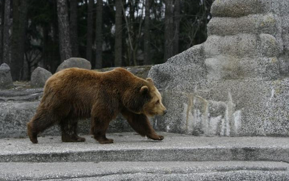 Kasa dla zoo w Zamościu