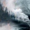 Attenborough na COP26: nasza cywilizacja jest zagrożona
