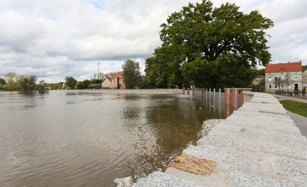 Wysoki stan Odry w miejscowości Krosno Odrzańskie