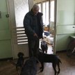Eksmisja na bruk będzie ograniczona