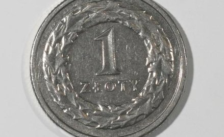 W Polsce wynagrodzenie wypłacaj tylko w złotych