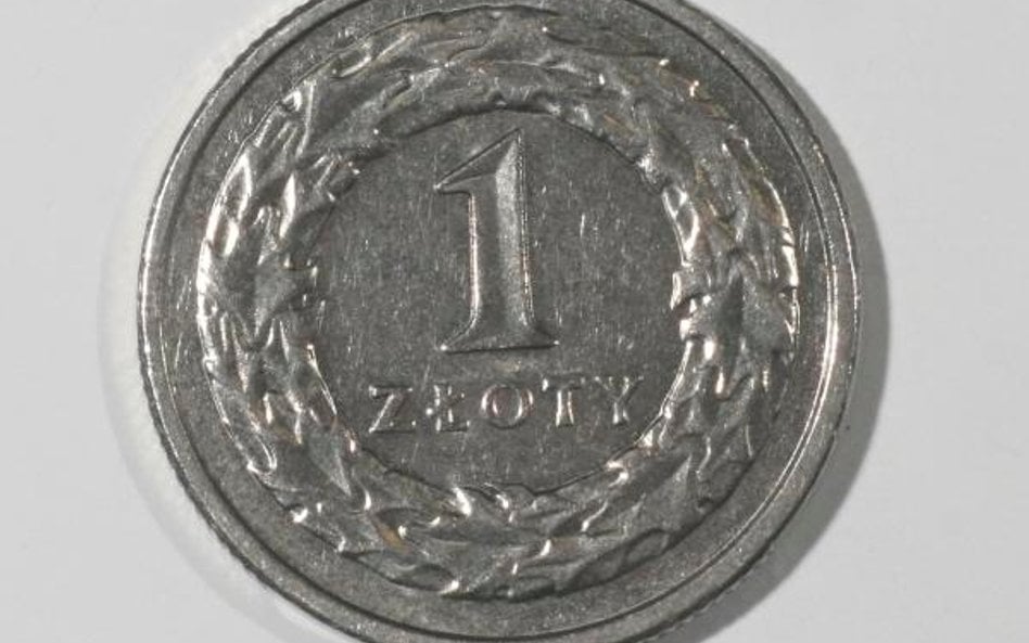 W Polsce wynagrodzenie wypłacaj tylko w złotych
