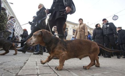 Luty 2011, Marsz (Nie)milczenia w Łodzi