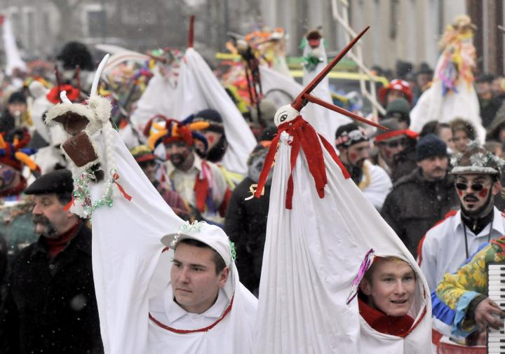 Kapustnik Bodzie I Poszczypuje - Rp.pl