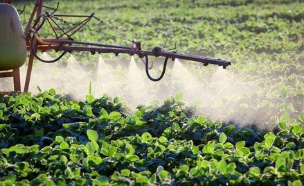 Rynek ochrony roślin ma potencjał
