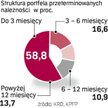 Niesolidni dłużnicy znajdują się w trzech różnych bazach danych