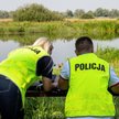 Trzeba powołać policję ochrony środowiska